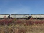 CN 388048